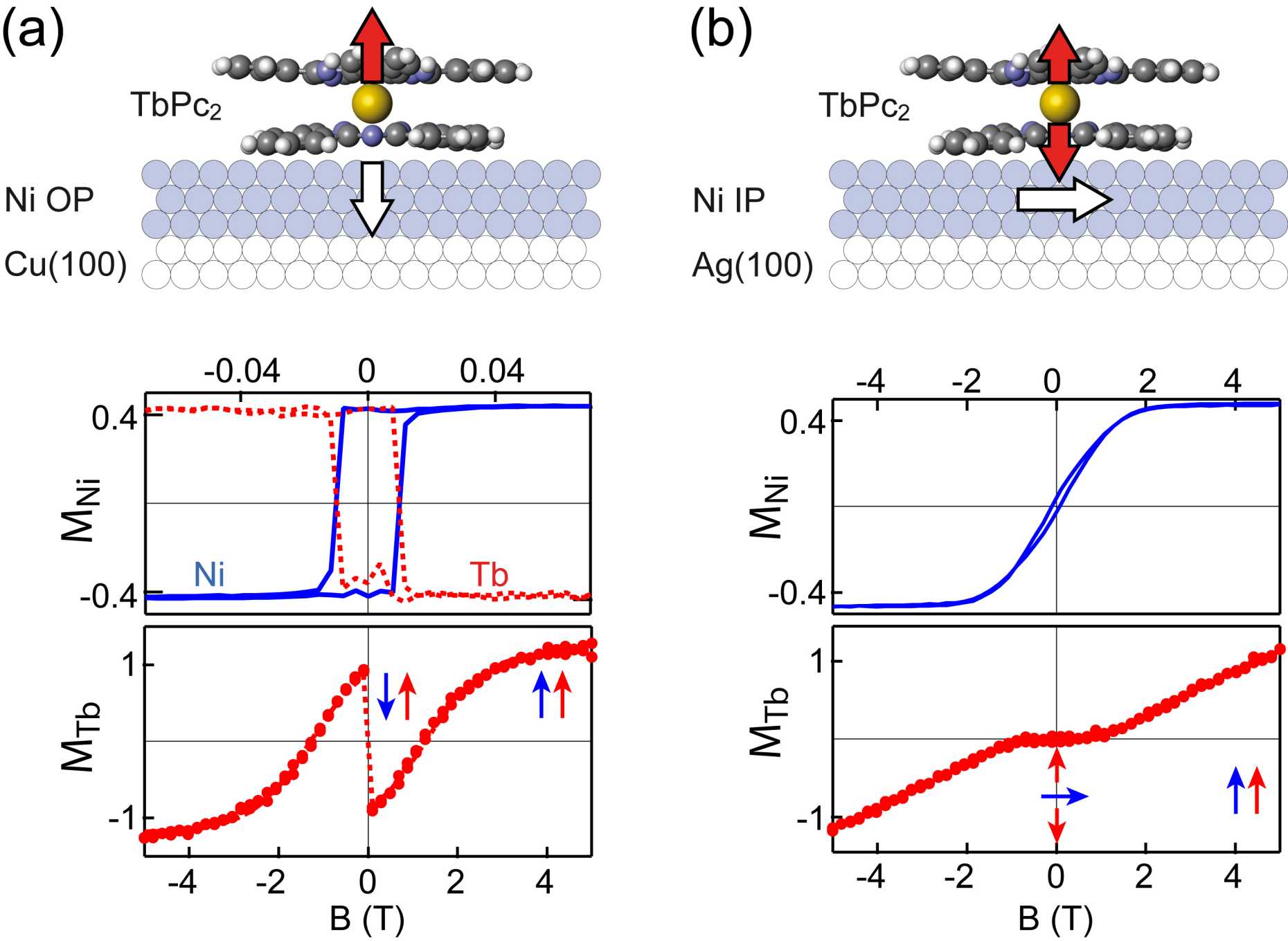 Enlarged view: TbPc2 single molecule magnets coupled to ferromagnetic Ni films